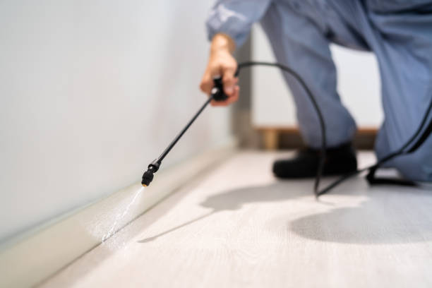 Licensed Rodent Control service in Winston County County, MS - Nex Pest Control